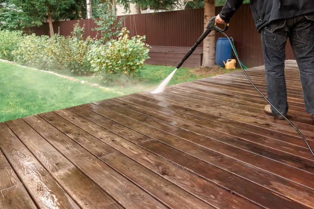 Best Animal Enclosure Cleaning  in Mancelona, MI